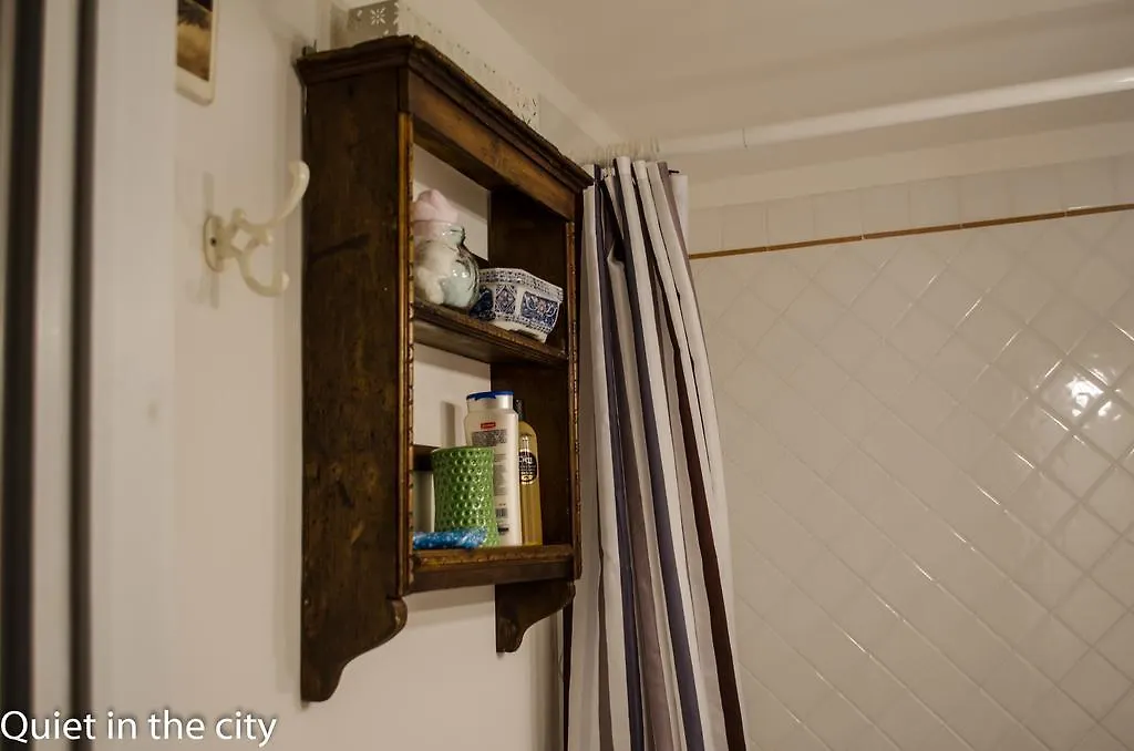 Apartments Quiet In The City فلورنس إيطاليا